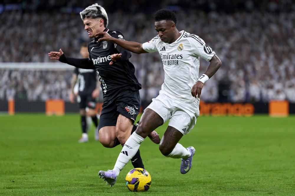 适应性和多 适应性和多